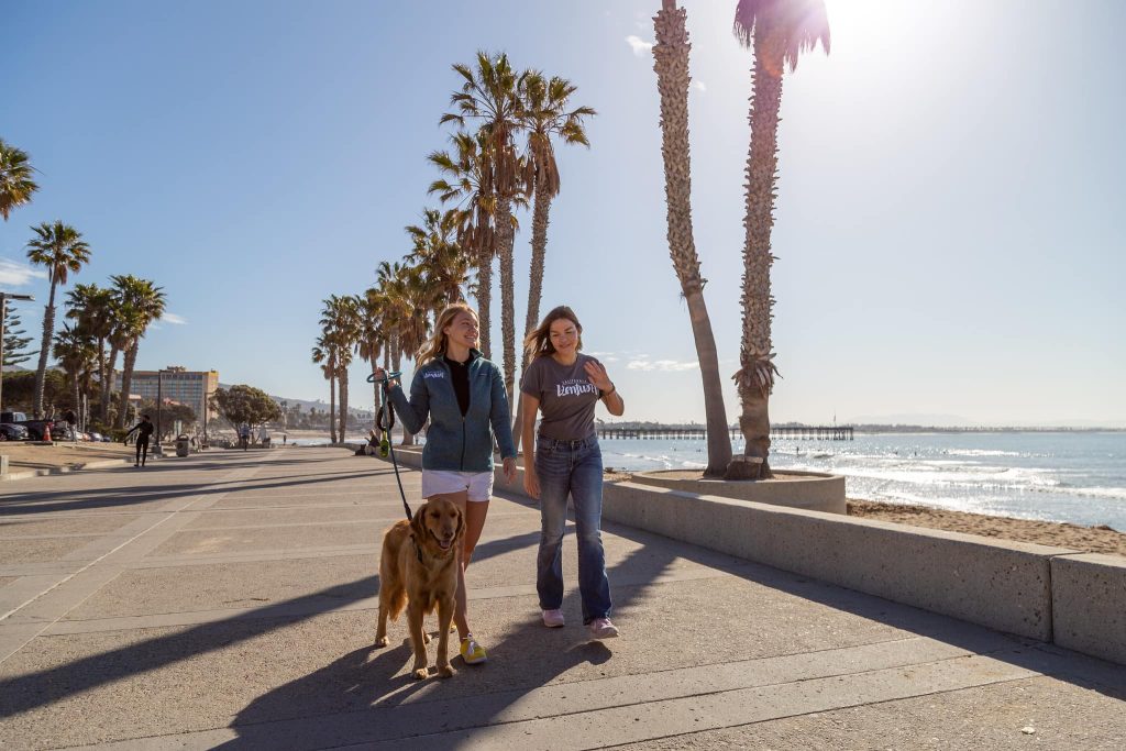 25 Top Dog Friendly Activities in Ventura, CA Dog walking on Ventura Promenade, dog friendly
