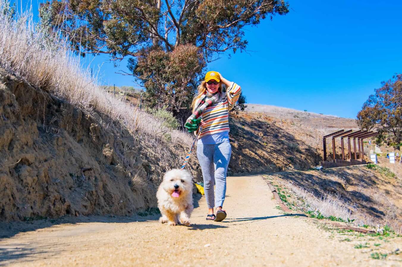 Where Can I Stay with My Dog in Ventura? Where Can I Stay with My Dog in Ventura?