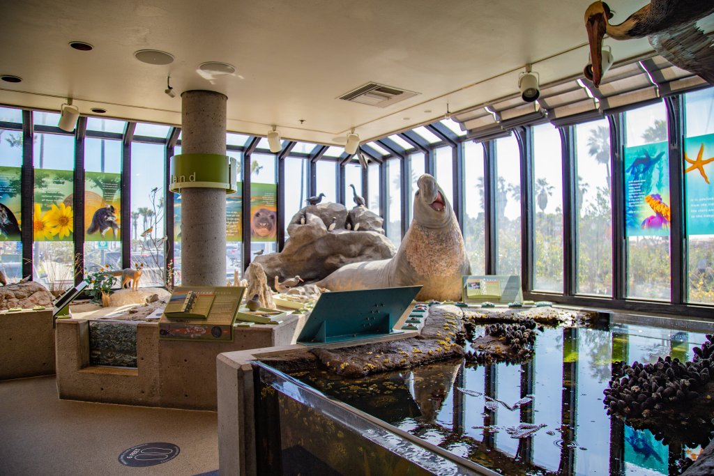 12 Must Do Kid-Friendly Activities in Ventura Channel Islands Visitor Center