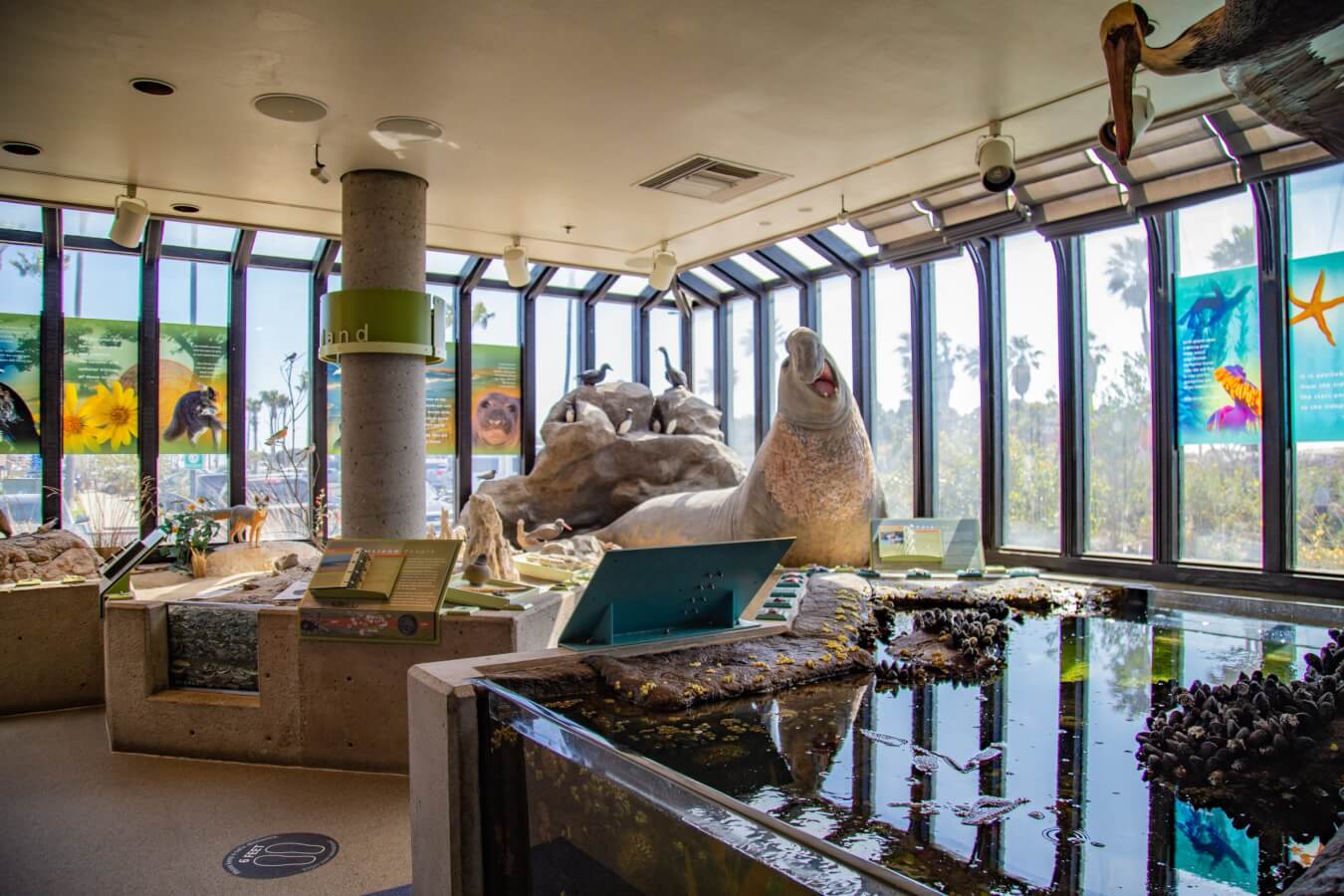 Top 30 Things to Do in Ventura Channel Islands Visitor Center