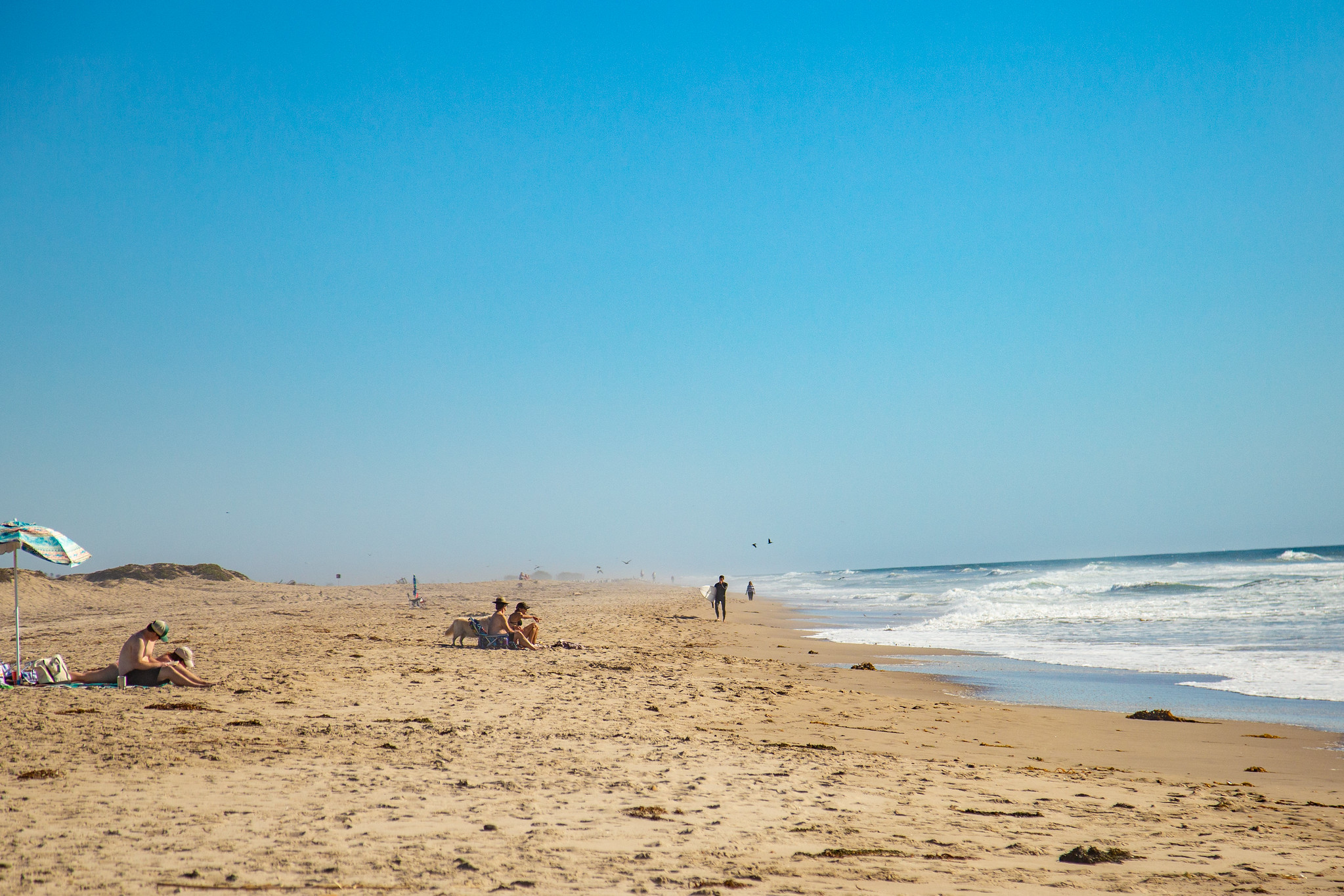 Perfect Weekend Itinerary at Ventura Harbor Village Harbor Cove Beach