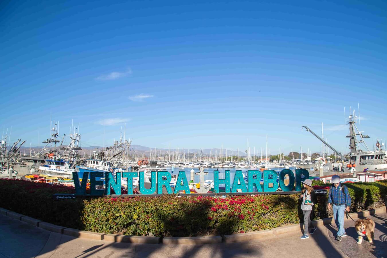 Top 30 Things to Do in Ventura ventura harbor sunny