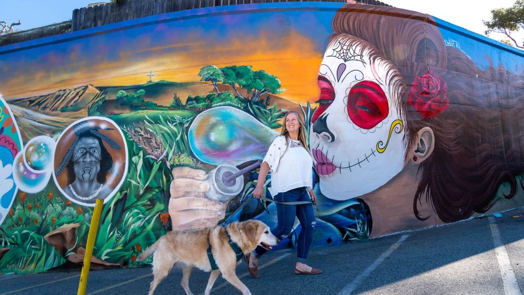 What Can I Do in Ventura if I’m Having a Bachelor-Bachelorette Party? Ventura Avenue wall mural