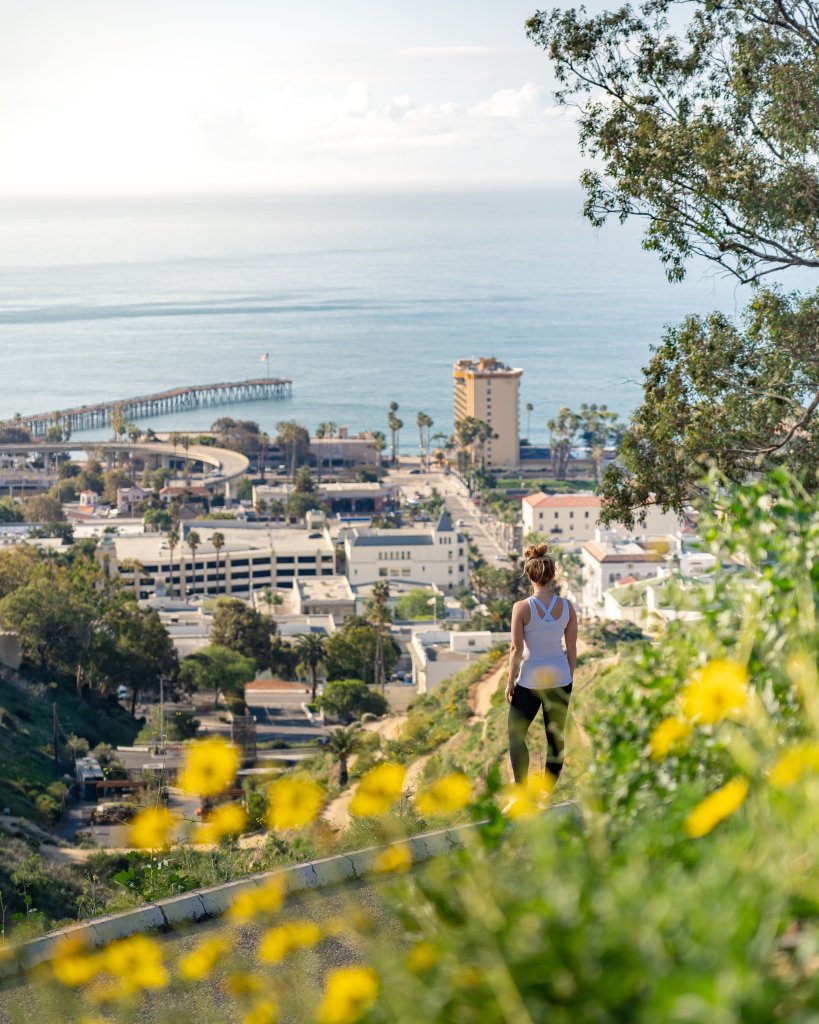 How to Spend a Perfect Day in Downtown Ventura botanical gardens drone