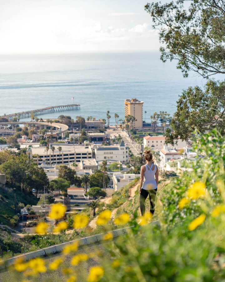 Top 30 Things to Do in Ventura botanical gardens drone