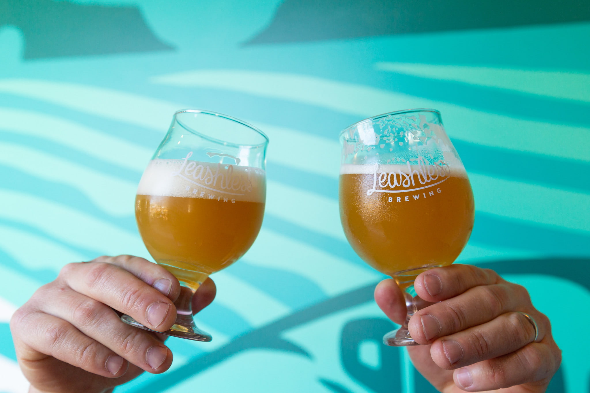 Ventura Breweries leashless brewing