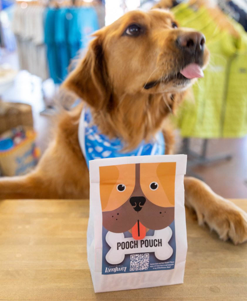 Stay in Ventura with Your Dog and Get a Free Pooch Pouch Stay in Ventura with Your Dog and Get a Free Pooch Pouch