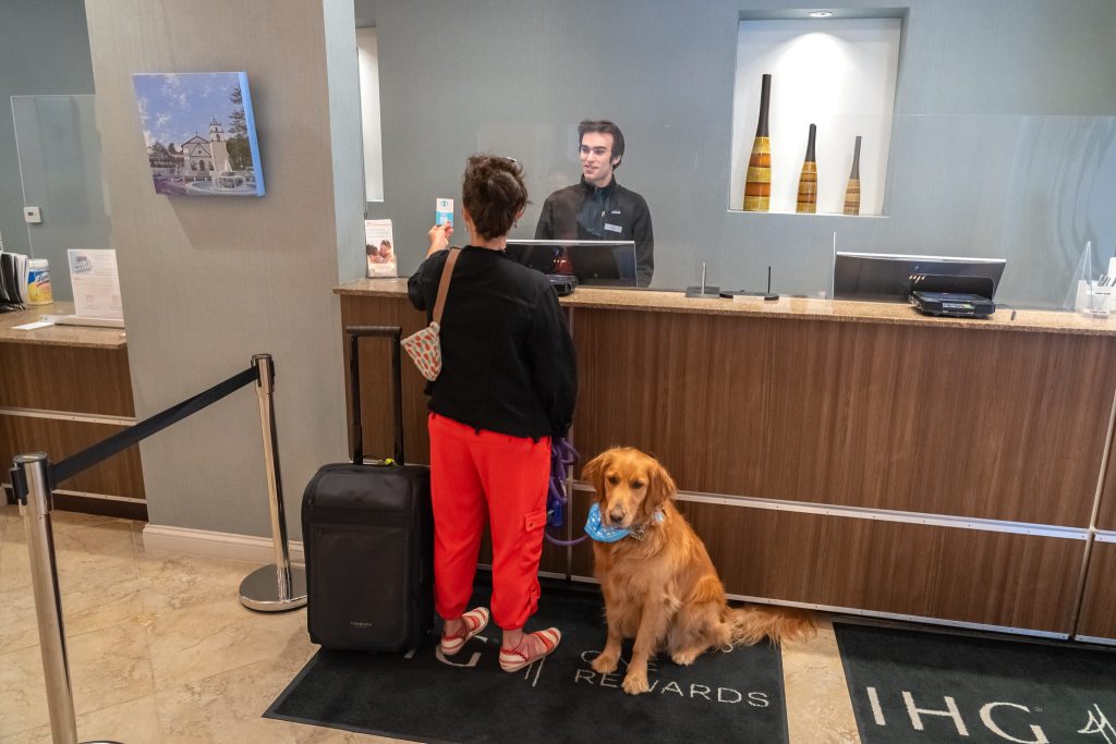 What Can I Do With My Dog in Ventura?  Dog Friendly Hotels in Ventura