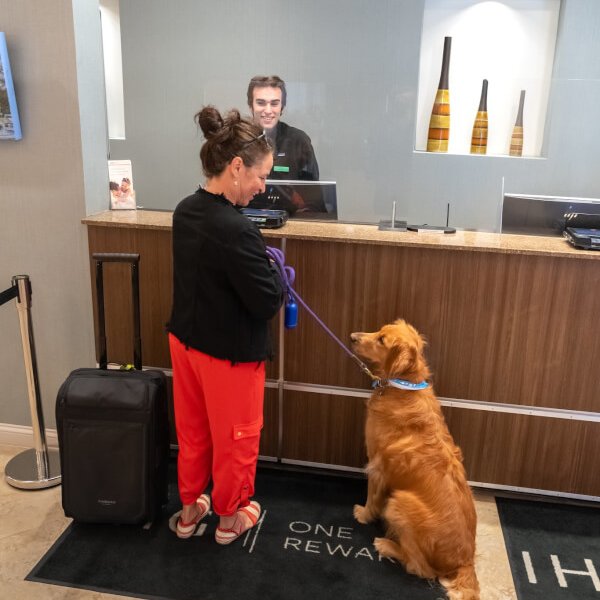 The Ultimate Ventura Travel Guide and California Road Trip marlyss with dog at crowne plaza