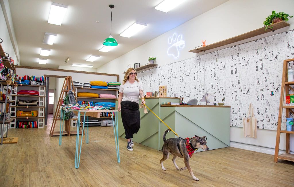 25 Top Dog Friendly Activities in Ventura, CA Dogtown: where to shop with your dog in Ventura