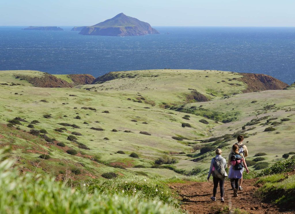 Your Bucket List in Ventura: 10 Things to Do in Town Hiking on Green Santa Cruz Island during spring, Channel Islands National Park