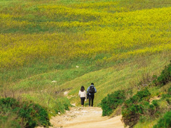 7 Reasons Why You Should Visit Ventura in the Spring Green hills hiking on Santa Cruz Island, Channel Islands National Park