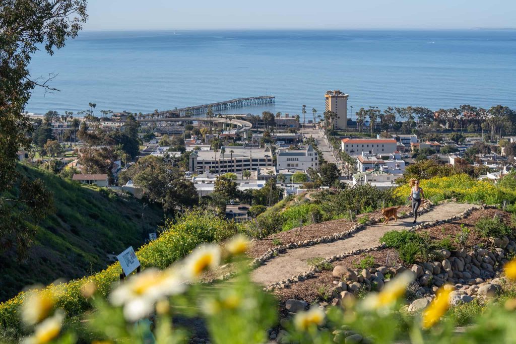 25 Top Dog Friendly Activities in Ventura, CA Dog at Ventura Botanical Gardens