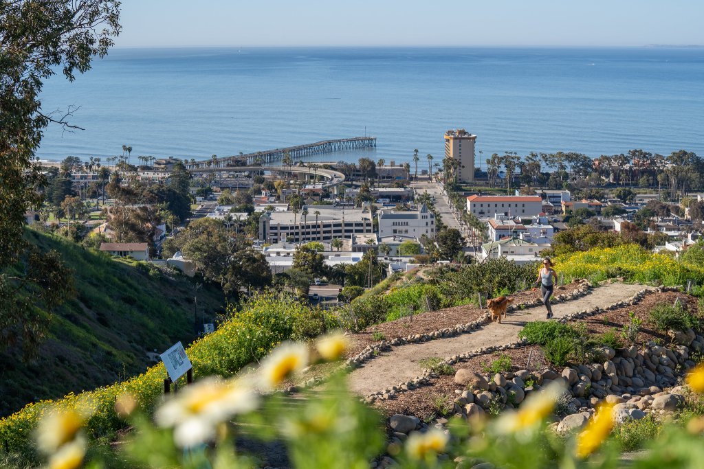 Ventura Solo Trip: 5 Outdoor Activities to Embrace on Your Own Visiting the Ventura Botanical Gardens
