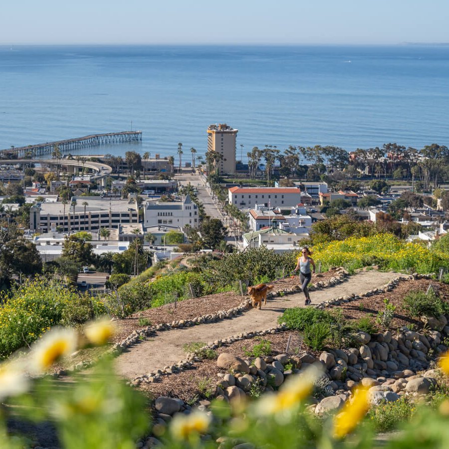 Why Ventura Is the Perfect Road Trip Stop on the Way to Los Angeles Visiting the Ventura Botanical Gardens