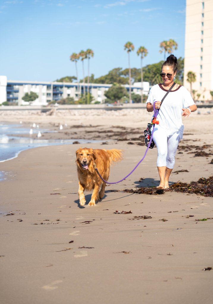 Dog Friendly Dog Friendly Ventura