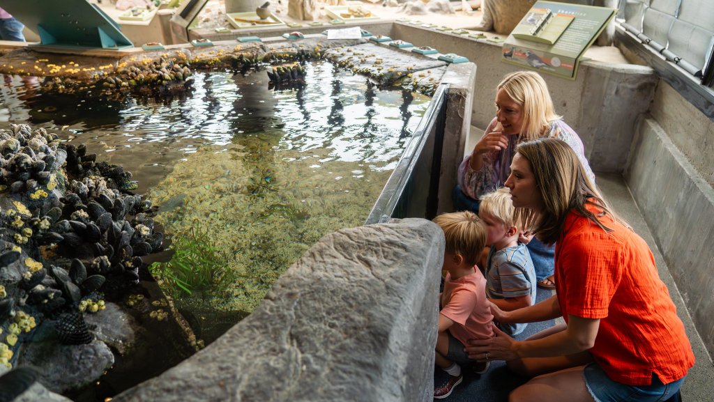 Perfect Weekend Itinerary at Ventura Harbor Village Kids love seeing the mini tank at the Channel Islands National Park Visitor Center