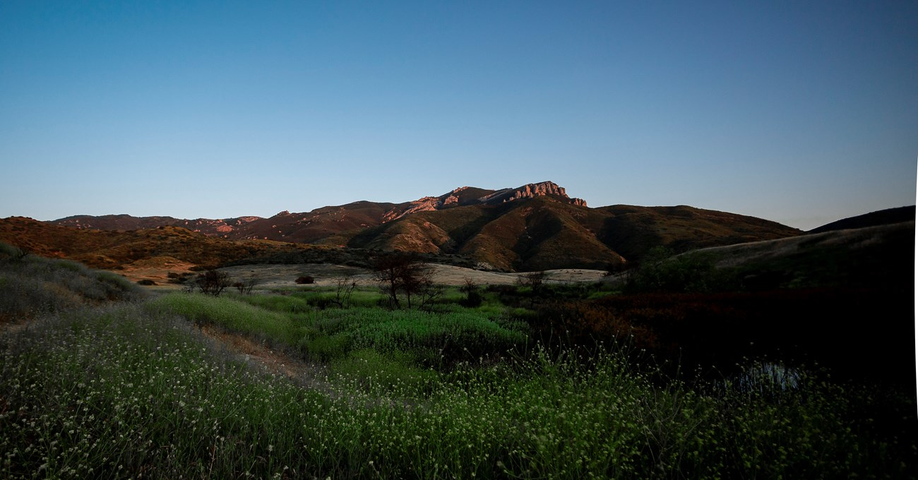 Visit Ventura Listing