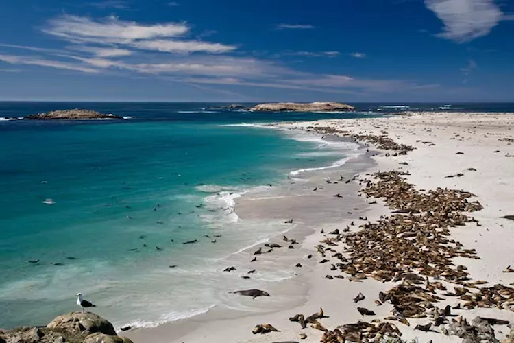 Visit Ventura Listing