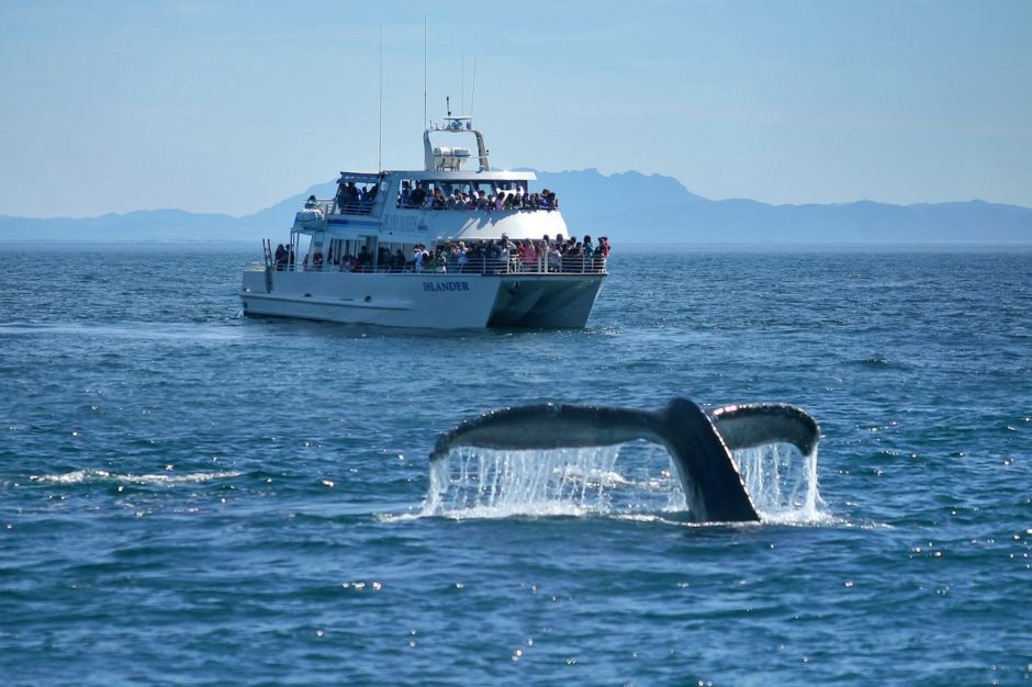 10 memorable adventures in and around Ventura, California