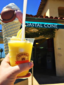 Local Ice That’s Twice as Nice Coastal Cone