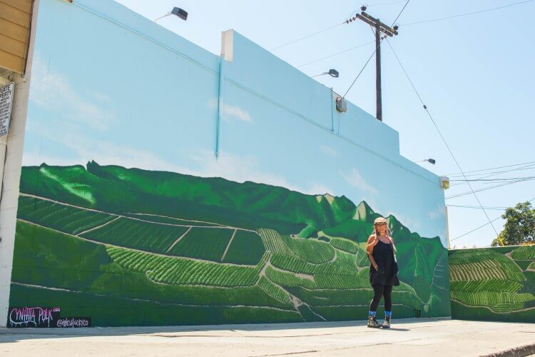 How Can I See Ventura’s Westside Murals? How Can I See Ventura’s Westside Murals?