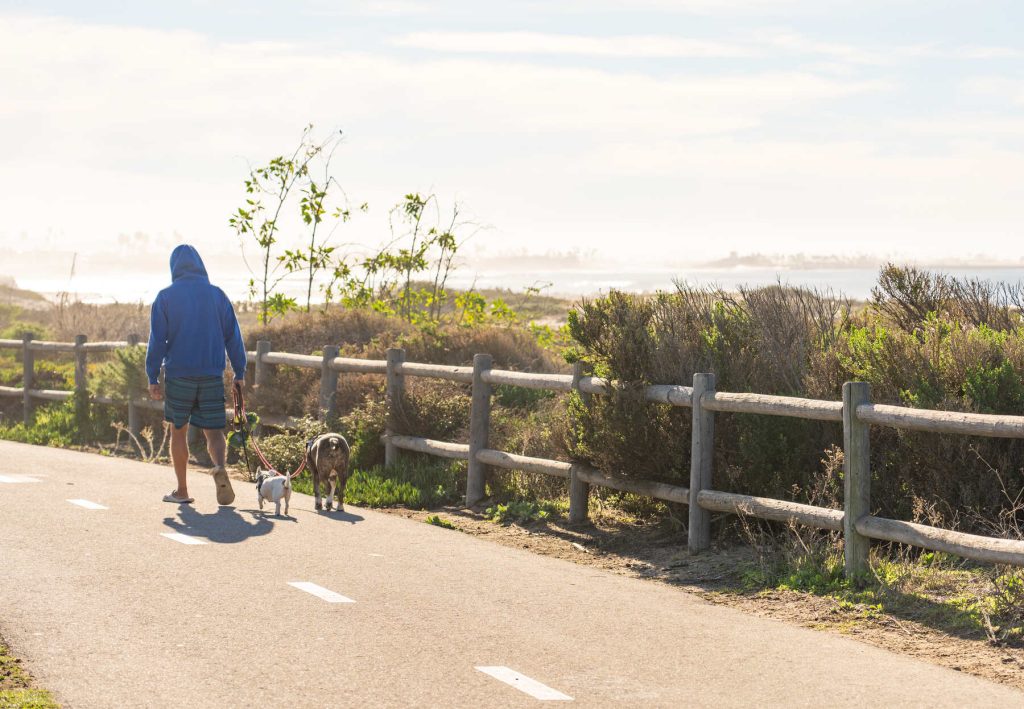 25 Top Dog Friendly Activities in Ventura, CA Ventura State Beach Walk Trail, Dog Friendly
