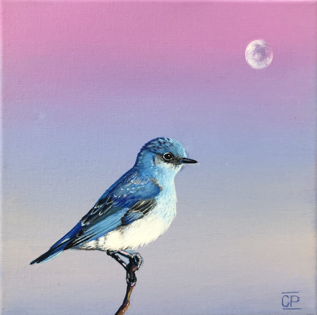 The Art of Bird Marveling, Courtesy of Ventura Artist Claudia Pardo Escape from Bukowski drawing by claudia