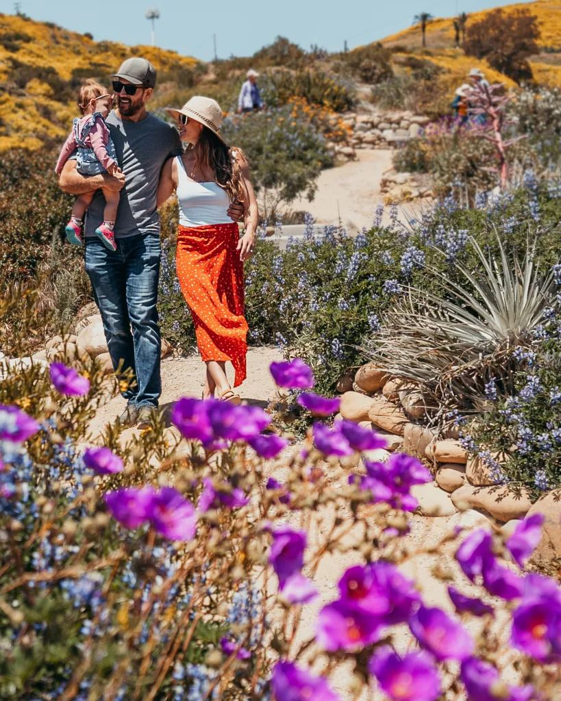 Ventura: The Ultimate Family Vacation in California Roamaroo family botanical gardens