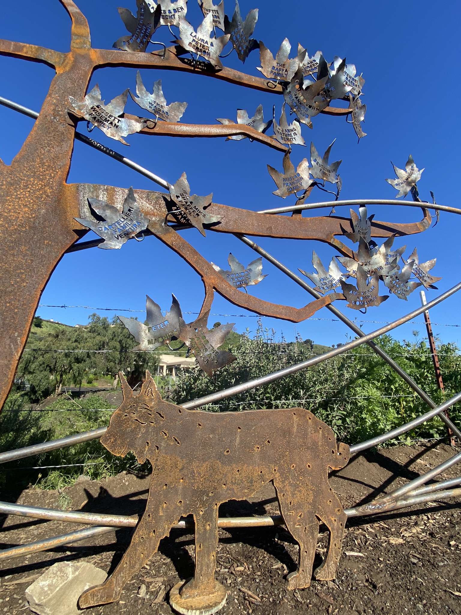 What’s New in Ventura? Events and Businesses to Check Out in May 2023 Ventura Land Trust Legacy Wall Tree