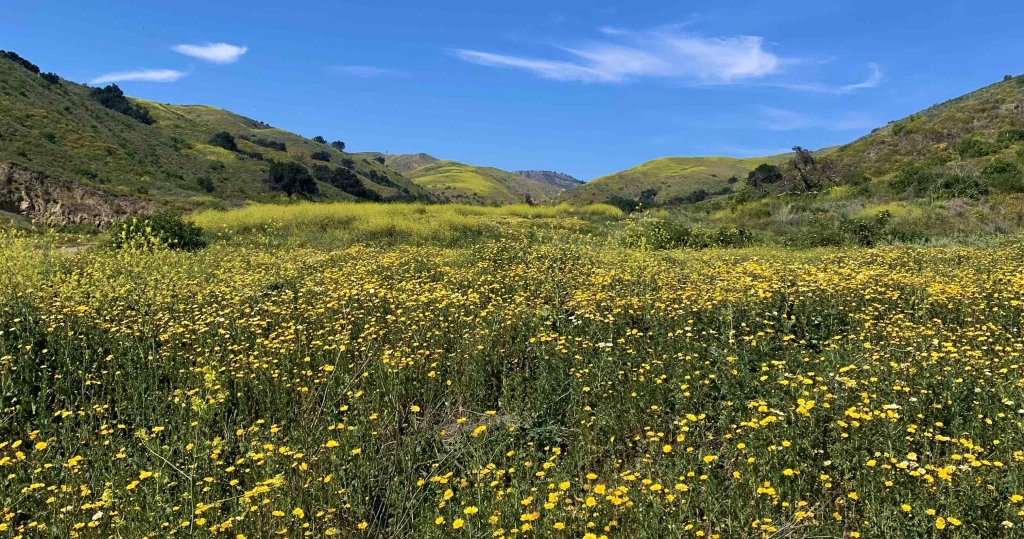 How is Ventura Land Trust Helping to Preserve Ventura's Wild and Scenic Places? Ventura Land Trust Helping to Preserve Ventura’s Wild and Scenic Places