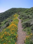 Visit Ventura Listing