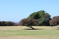 Visit Ventura Listing
