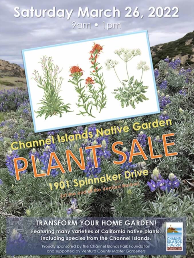 Top 5 Fun Things to Do in Ventura this Weekend March 26th 2022 CI Plant sale march 2022