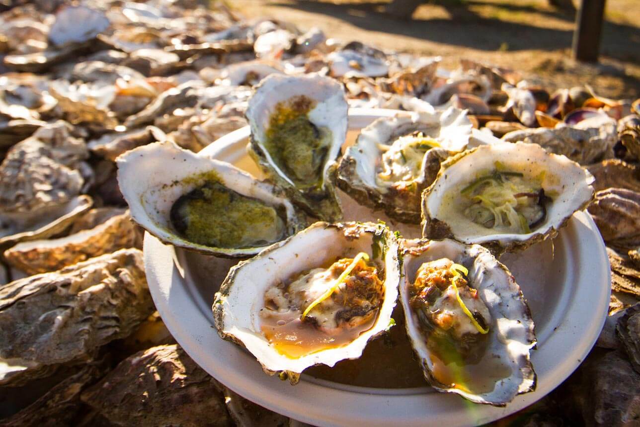 Ventura Beaches and Surfing Seaside Oyster Shucking