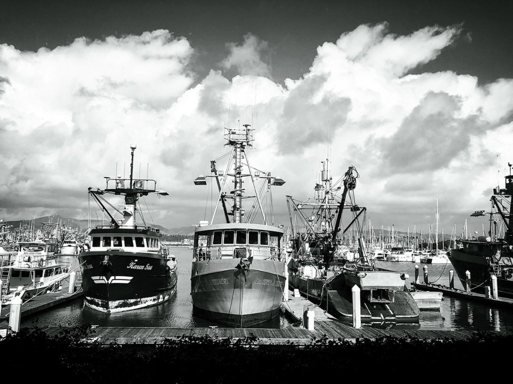 Finding Creative Inspiration in Ventura, California black and white photo of boats on the harbor