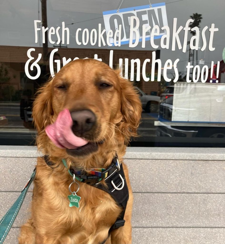 25 Top Dog Friendly Activities in Ventura, CA Dog patio at Pete's Breakfast House