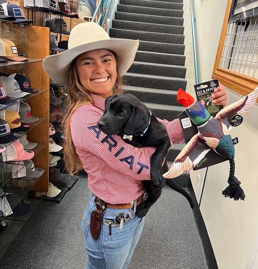 25 Top Dog Friendly Activities in Ventura, CA The Wharf, dog friendly in Ventura
