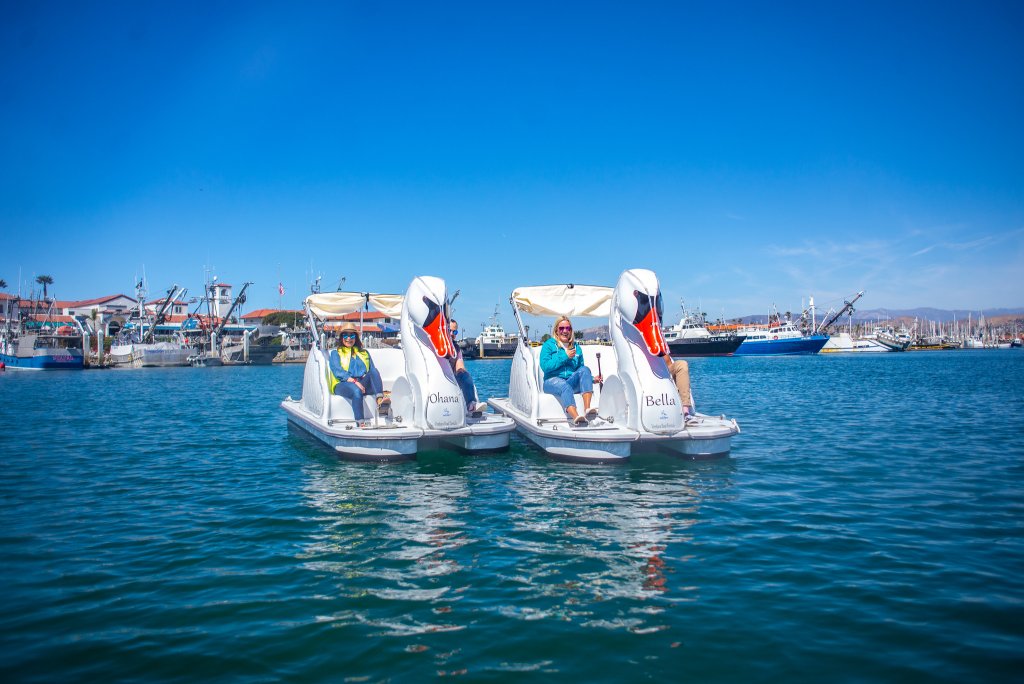 Health & Wellness Itinerary: How to Have the Perfect 3 Day Wellness Trip in Ventura swan boats from ventura boat rental