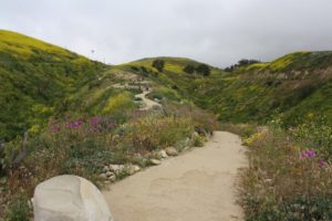 ventura botanical gardens