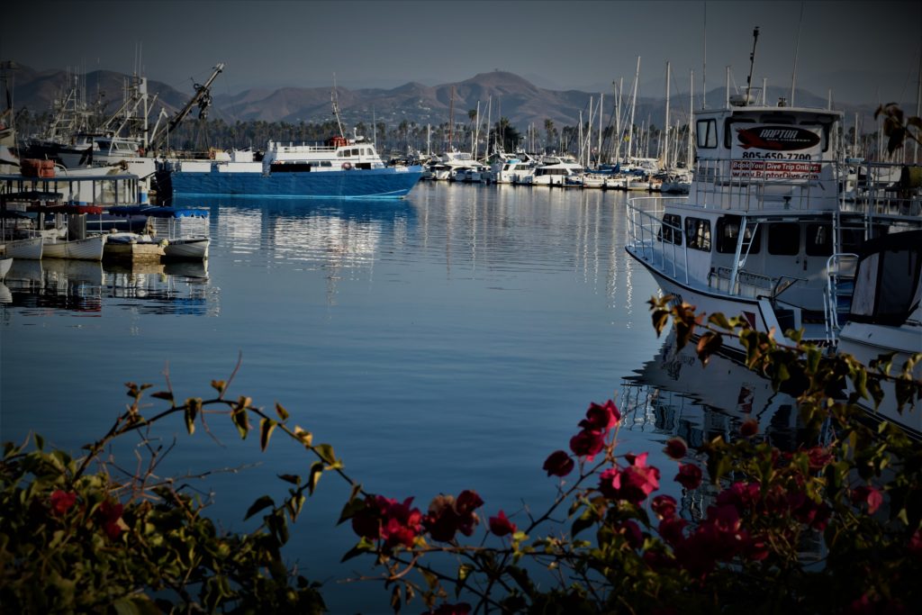 A true Southern California experience A true Southern California experience