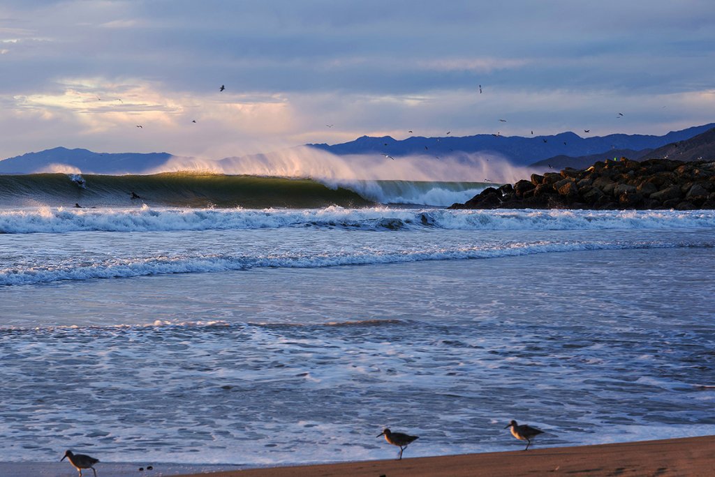 Finding Creative Inspiration in Ventura, California waves at the harbor beach